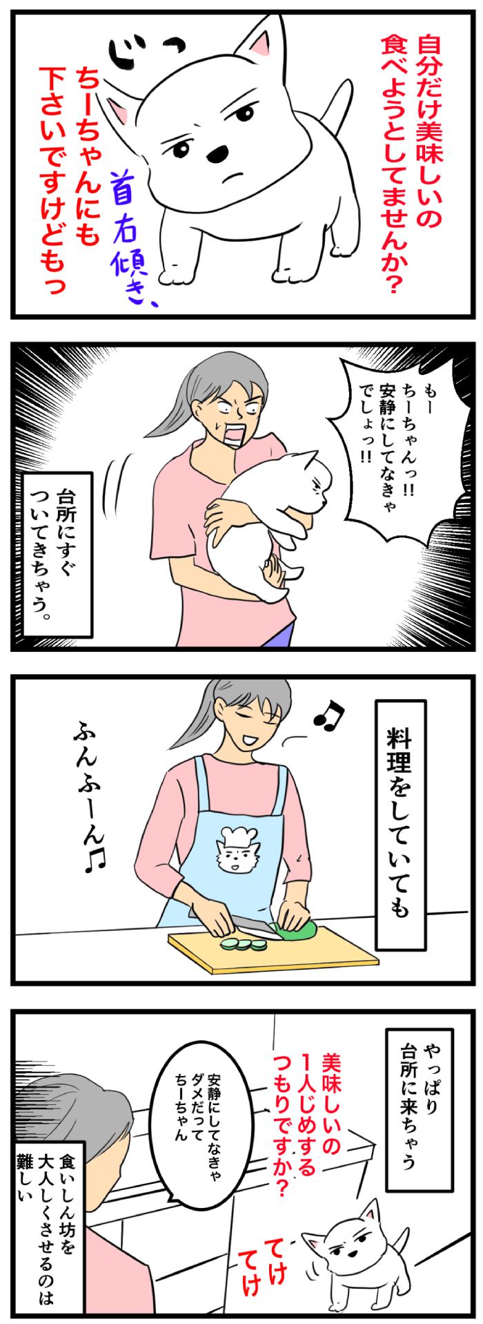 ちーちゃんですけどもっ【第207話】