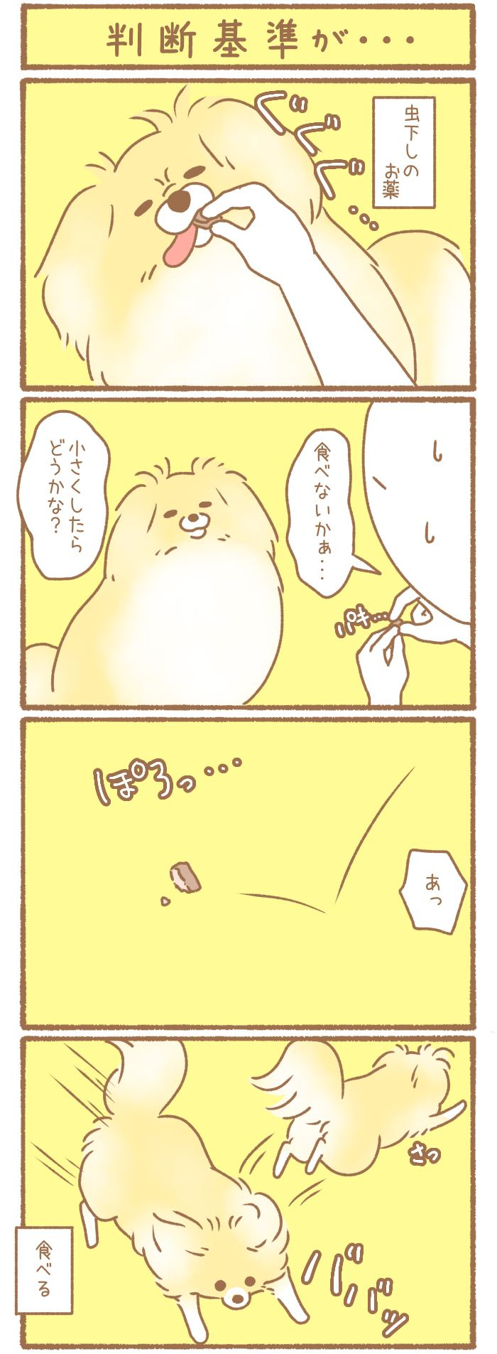 ただの犬好きです。【第257話】