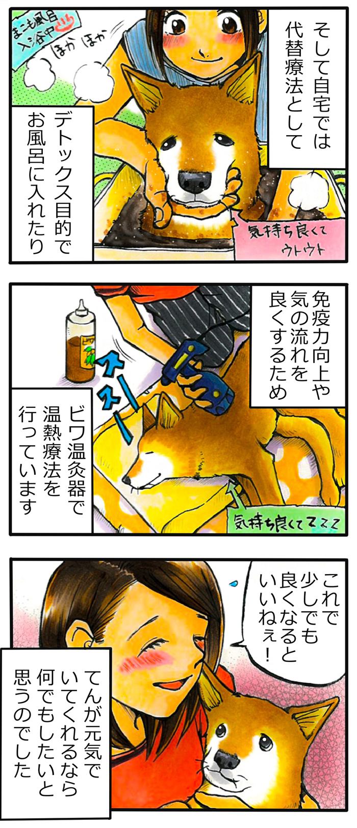 てんてこ、てん。【第74話】4