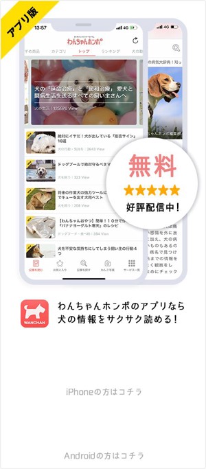 アプリ版無料好評配信中！ わんちゃんホンポのアプリなら犬の情報をサクサク読める！