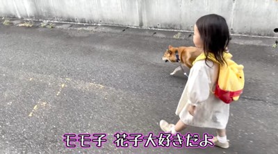 女の子と散歩をする犬