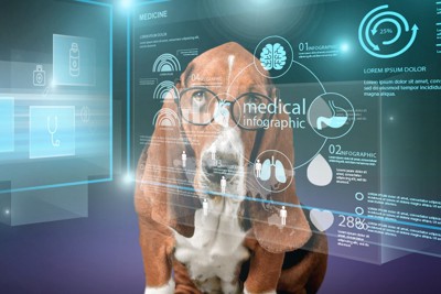 スクリーンに映す医療データ、メガネをかけた犬