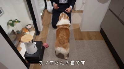 ノエルちゃんもお出迎え！