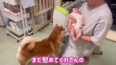 「もう1回、こむぎに任せて！」