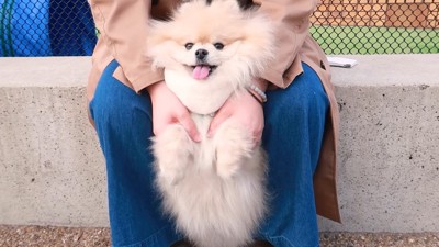 モチちゃんと子どもたち