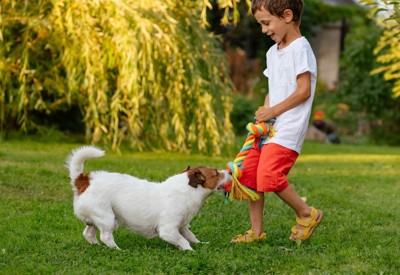 おもちゃで遊ぶ犬と男の子