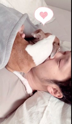 寝ている飼い主の顔に自分の顔を乗せる犬