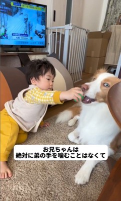 ラスカルくんと赤ちゃん8