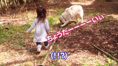 竹をくわえる犬に近づく子