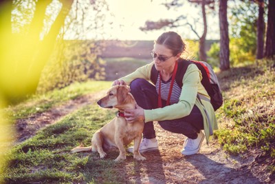 犬の体をチェックしている女性