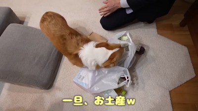 お土産チェックは欠かせない