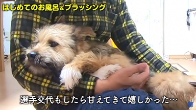 ママに甘えるポテちゃん