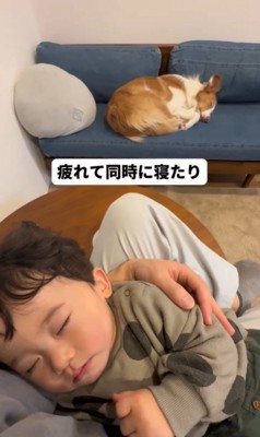 ラスカルくんと赤ちゃん6