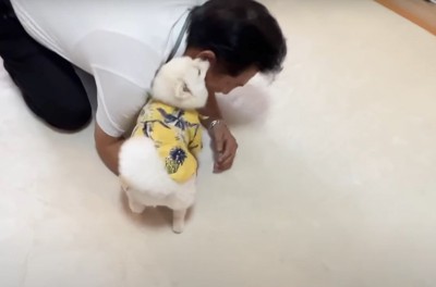 人の顔を舐める犬