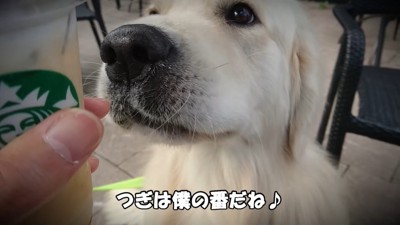 おでかけ中の出来事4