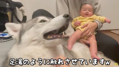 もんちゃんと妹の歴史