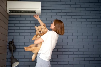 犬を抱きながらエアコンの送風口に手を当てる女性