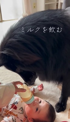 「ミルクって美味しいのかな？」