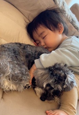 寝る犬と赤ちゃん
