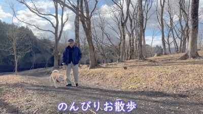 公園でお散歩を楽しんだよ♪