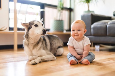 子供と大型犬