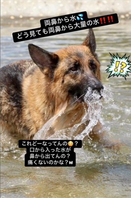 水遊び中のリヒトくん4