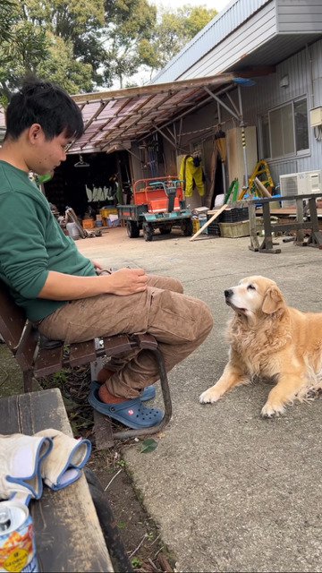 ご飯に目が無い犬