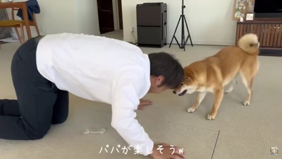 犬目線で遊ぶパパが素敵！