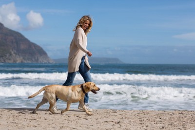 ノーリードで海岸を散歩する女性と犬