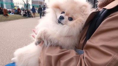 モチちゃんと子どもたち9