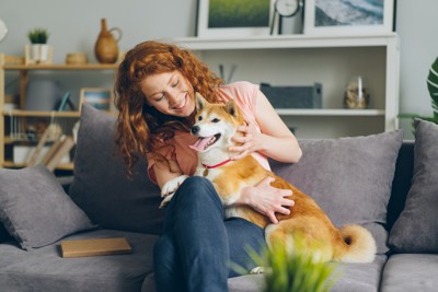 女性の上に乗った柴犬