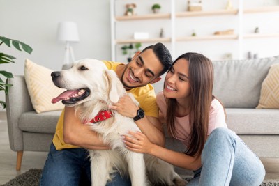 幸せそうな家庭と一匹の犬