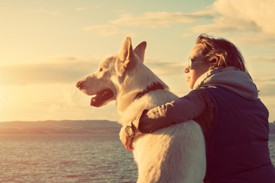 海を眺める大型犬と女性