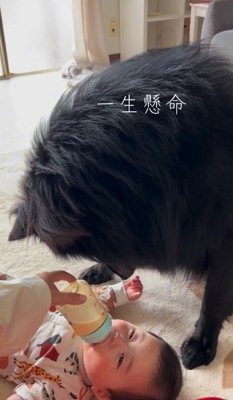 「ミルクちゃんと飲めてるかな？」