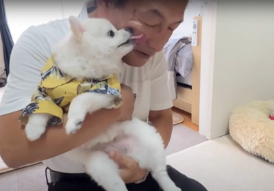 抱っこされながら人の顔を舐める犬