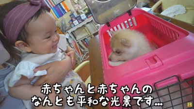 赤ちゃん同士の初対面