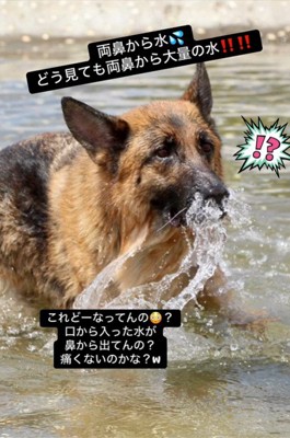 水遊び中のリヒトくん3