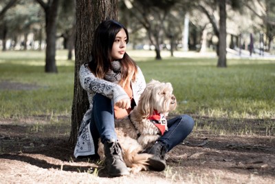 木の下で腰をかける女性と犬