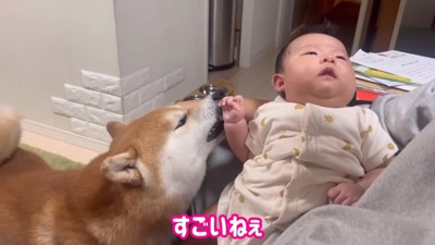 赤ちゃんも泣き止んだ！