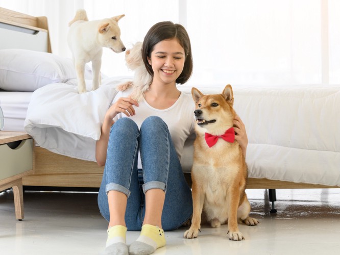 柴犬と女性