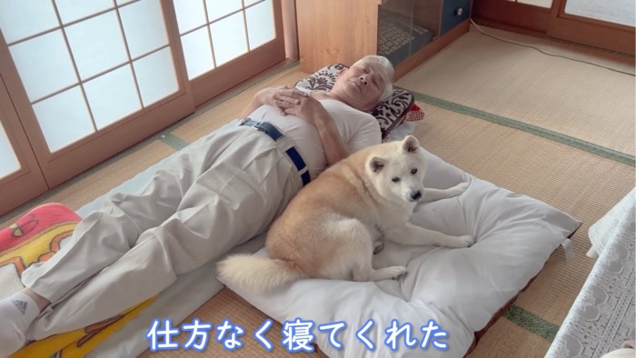 おじいちゃんの隣に寝る犬