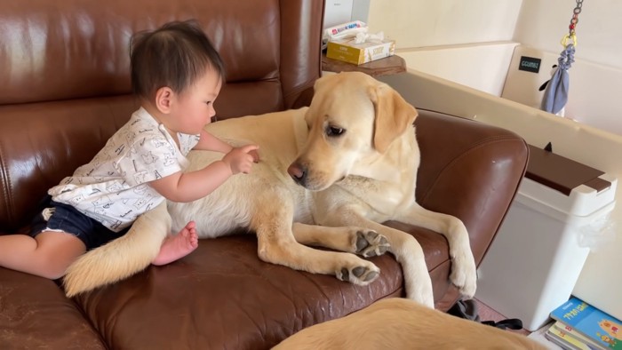 そーっとお鼻にタッチ…♡