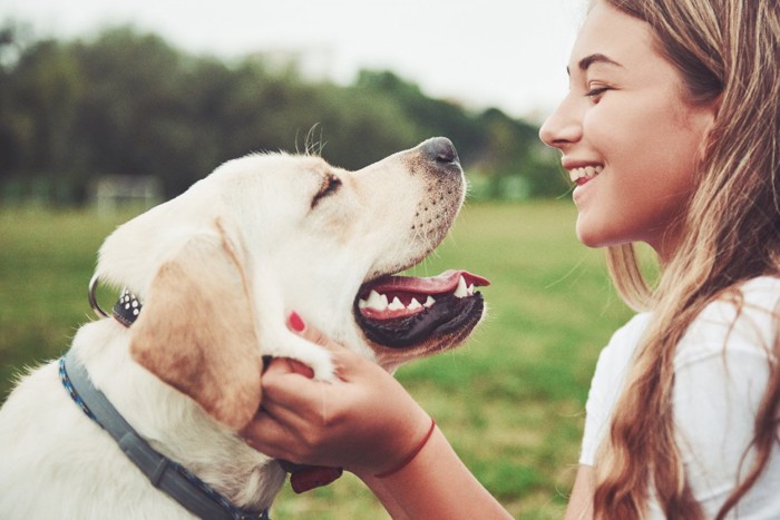 笑顔の犬と女性