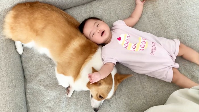 嬉しそうにする赤ちゃんと犬