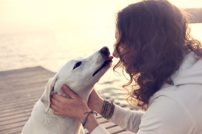 女性の顔を舐める犬