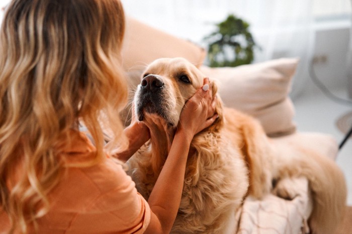 犬を撫でる女性