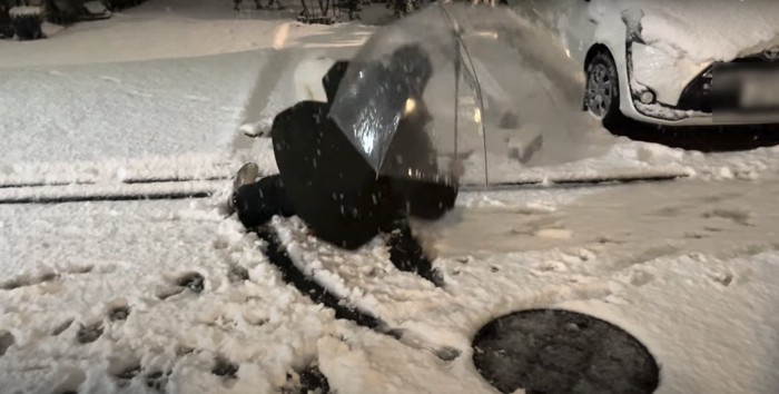 雪で転倒する飼い主