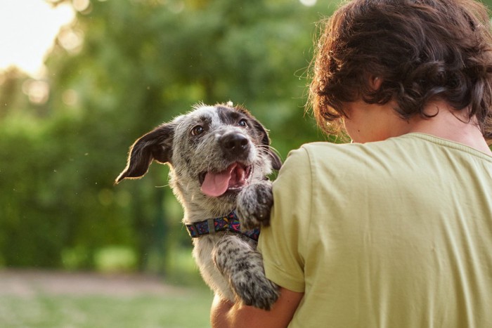 抱っこされている犬