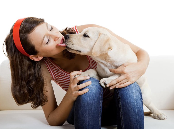 キスする犬