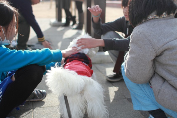 人とスキンシップをとる犬